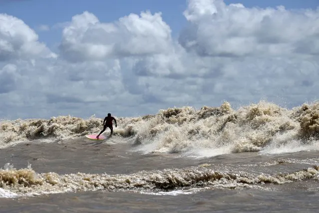 Brazilian surfer Naysson Costa rides the tidal bore wave known as “Pororoca”, during the Amazon Surf Festival held in the Canal do Perigoso, or “Dangerous Channel”, at the mouth of the Amazon River near Chaves, Marajo Island archipelago, Para state, Brazil, Monday, June 5, 2023. The Pororoca, a word from an Amazonian Indigenous dialect that means “destroyer” or “great blast”, happens twice a day when the incoming ocean tide reverses the river flow for a time. (Photo by Eraldo Peres/AP Photo)