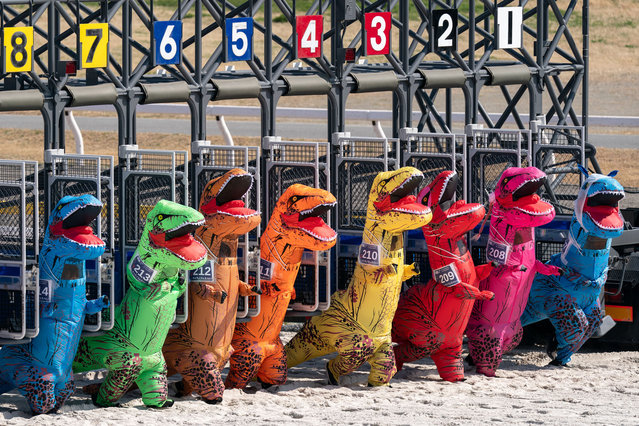 People dressed as tyrannosauruses compete during a Tyrannosaurus Race on the track of Funabashi Racecourse on March 22, 2025, in Funabashi, Chiba, Japan. About 550 racers participated in the event. The race, which originated from the T-Rex Race held at Emerald Downs in Washington state, USA, in 2017, has been gaining popularity in Japan. (Photo by Tomohiro Ohsumi/Getty Images)