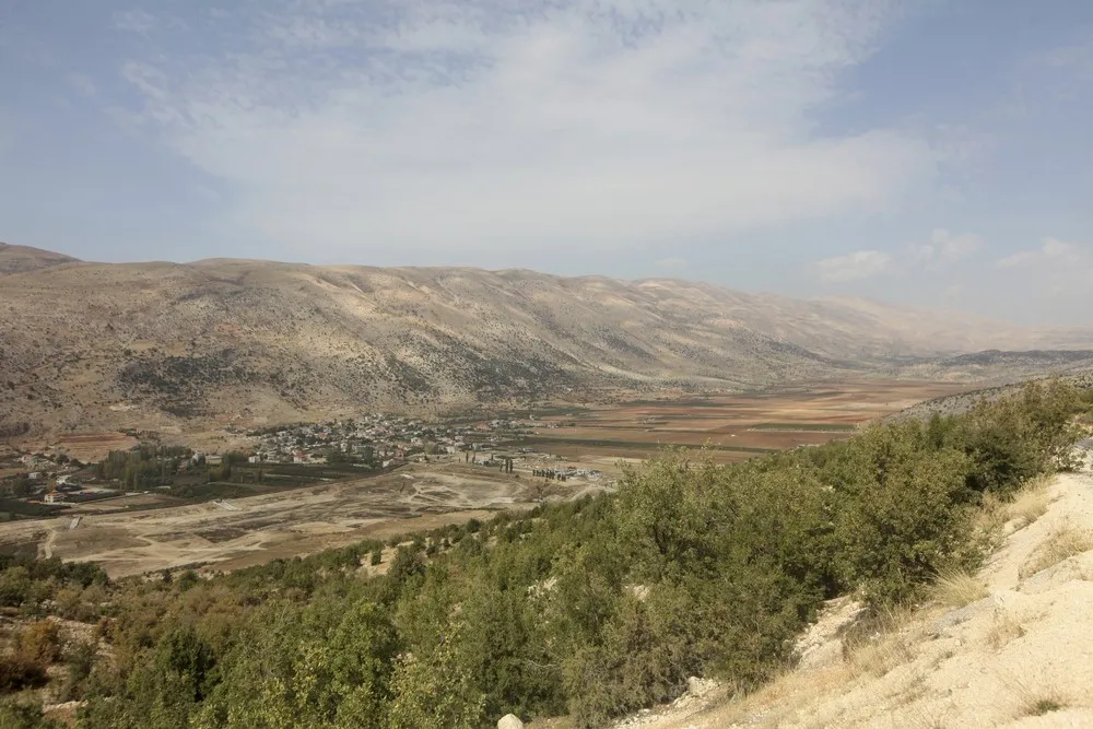 Harvesting Hashish in Lebanon's Bekaa Valley