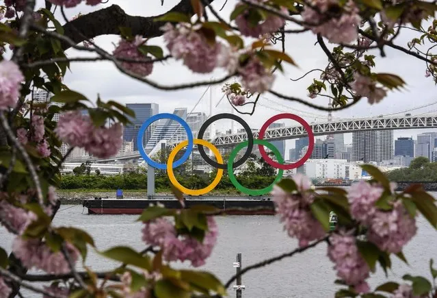The Olympic Ring Monument installed on the water is seen through blossoming cherry trees in Tokyo, Japan, 13 April 2021, one day before the country starts its 100-day countdown to the Tokyo 2020 Olympic Games opening ceremony. The Summer Olympic Games, rescheduled from 2020 to 2021 because of the COVID-19 pandemic, are set to start on 23 July 2021. (Photo by Kimimasa Mayama/EPA/EFE)