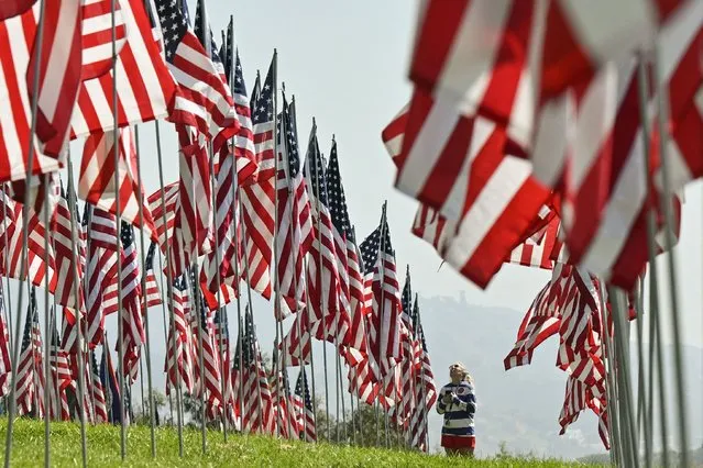 A visitor looks up at some of the nearly 3,000 flags representing the victims of the September 11, 2001 terrorist attacks on the campus of Pepperdine University on September 8, 2023 in Malibu, California. US President Joe Biden will observe the 22nd anniversary of the worst terrorist attack on US soil with an observance at an Alaska military base. (Photo by Robyn Beck/AFP Photo)