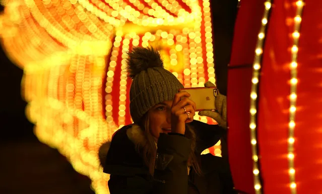 A woman photographs a light display during the The Magical Lantern Festival marking the Chinese new year at Chiswick House in London, Britain January 18, 2017. (Photo by Neil Hall/Reuters)