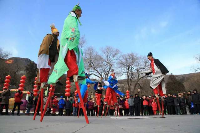 People walk on stilts as they perform to celebrate the Chinese New Year of Rooster at a temple fair in Beijing, China, January 29, 2017. (Photo by Reuters/Stringer)