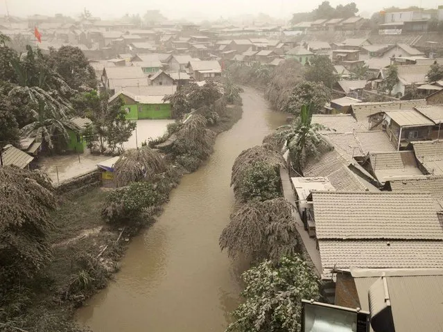 A housing complex is seen covered with ash from Mount Kelud, in Yogyakarta. (Photo by Dwi Oblo/Reuters)