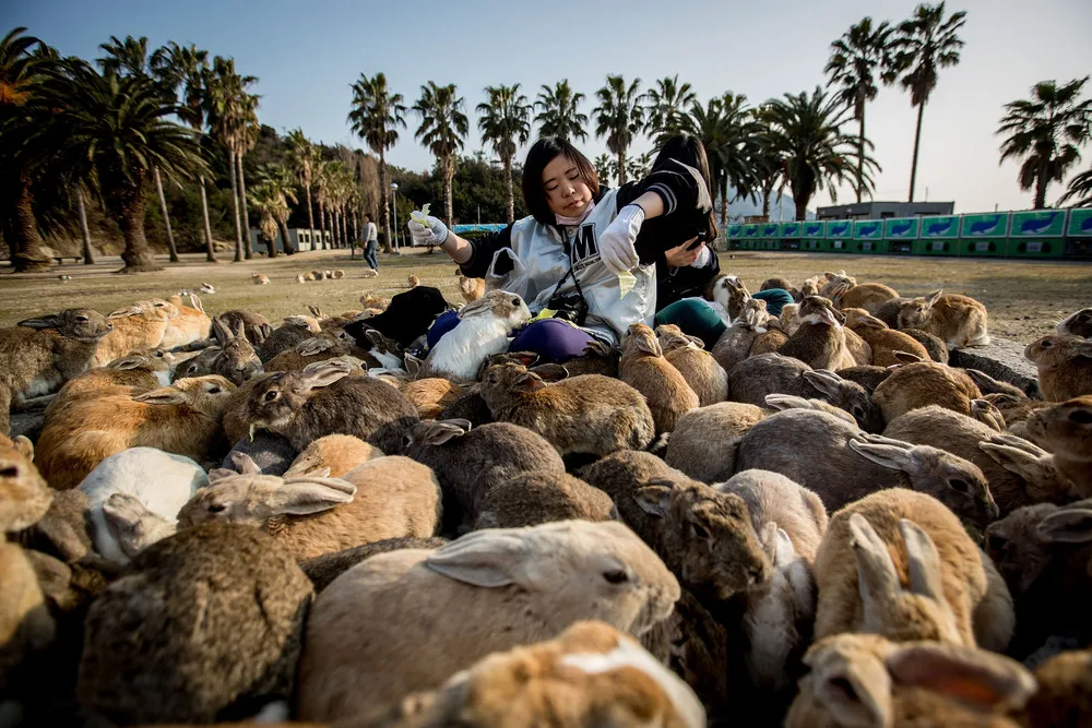 The Week in Pictures: Animals, February 22 – February 28, 2014