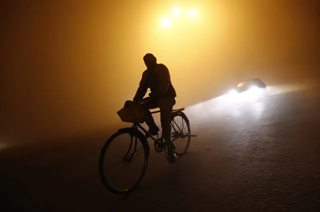 A man rides a bicycle through a road amid dense fog on a cold winter night in New Delhi January 5, 2014. (Photo by Adnan Abidi/Reuters)