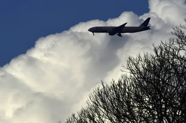 A passenger aircraft makes its landing approach towards Heathrow Airport above Richmond Park in west London, Britain, March 4, 2016. (Photo by Toby Melville/Reuters)