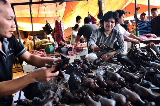 This picture taken on February 18, 2017 shows a vendor preparing bat meat for his customers in Tomohon market in northern Sulawesi, Indonesia. (Photo by Bay Ismoyo/AFP Photo)