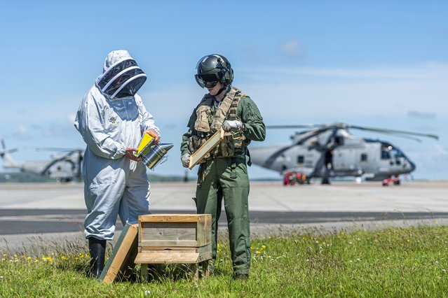 Survival Equipment Technician James Harrison (left) and Lieutenant Adam Pollock (right) inspect the beekeeping equipment at Royal Navy air base in Cornwall, UK in the last decade of May 2024. (Photo by Max Willcock/Bournemouth News)