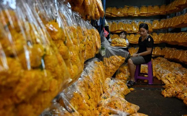 A woman prepares bags of chrysanthemums to sell at a flower market in Bangkok, Thailand on September 27, 2019. (Photo by Lillian Suwanrumpha/AFP Photo)
