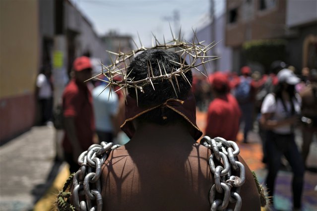 A penitent wearing a crown of thorns and chains with cacti stuck to his skin, marches in a Good Friday procession in Atlixco, Mexico, Friday, April 7, 2023. Holy Week commemorates the last week of the earthly life of Jesus Christ culminating in his crucifixion on Good Friday and his resurrection on Easter Sunday. (Photo by Eduardo Verdugo/AP Photo)