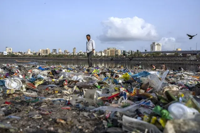 A man walks past plastic and other garbage littered on the shores of the Arabian Sea on World Environment Day, in Mumbai, India, Sunday, June 5, 2022. (Photo by Rafiq Maqbool/AP Photo)