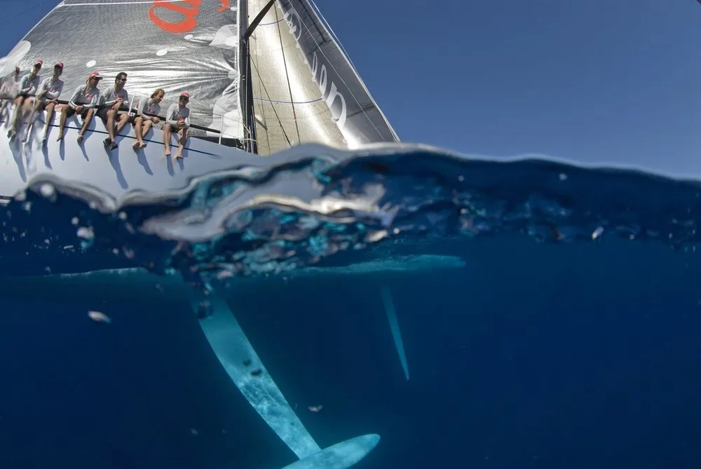 Extreme on Water by Kurt Arrigo 