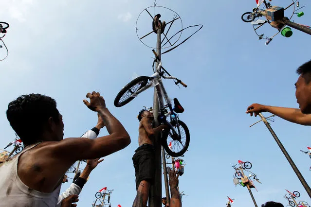 A participant lowers a bicycle after climbing a greased pole to collect prizes during a “Panjat Pinang” event organised in celebration of Indonesia's 71st Independence day in Jakarta, Indonesia August 17, 2016. (Photo by Iqro Rinaldi/Reuters)