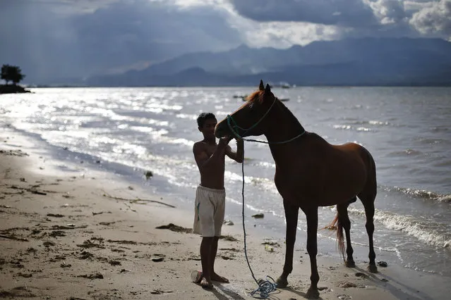 An Indonesian child jockey stands with his horse on Kalaki beach before giving him a bath in Bima, West Nusa Tenggara province, Indonesia, 21 March 2015. (Photo by Mast Irham/EPA)