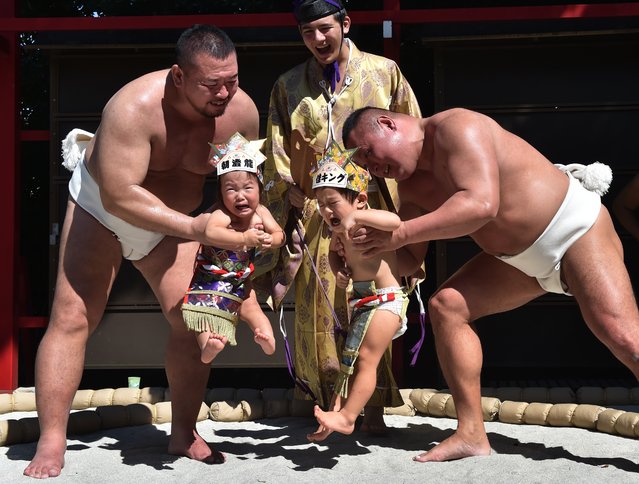 Sumo wrestlers hold up crying babies during a “Baby-cry Sumo” event at the Irugi Shrine in Tokyo on September 20, 2015. Japanese parents believe that sumo wrestlers can help make babies cry out a wish to grow up with good health. (Photo by Kazuhiro Nogi/AFP Photo)