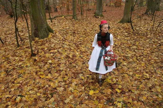 Little Red Riding Hood (in German: Rotkaeppchen, which translates to Little Red Cap), actually actress Dorothee Weppler, wears the local Schwalm region folk dress with its red cap as she walks through a forest on the estate of Baron von Schwaerzel on November 20, 2012 in Willingshausen, Germany. Little Red Riding Hood is one of the many stories featured in the collection of fairy tales collected by the Grimm brothers, and the two reportedly first came across the story while staying on the von Schwaerzel estate. The 200th anniversary of the first publication of Grimms' Fairy Tales will take place this coming December 20th. The Grimm brothers collected their stories from oral traditions in the region between Frankfurt and Bremen in the early 19th century, and the works include such global classics as Sleeping Beauty, Rapunzel, The Pied Piper of Hamelin, Cinderella and Hansel and Gretel.  (Photo by Sean Gallup)
