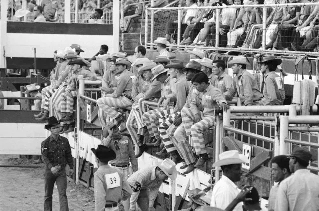 To separate the convicts from the professional cowboys participating in the rodeo at the Oklahoma State Penitentiary, trousers with prison stripes are worn by the convicts, seen September 29, 1971, in McAlester, Oklahoma. Normal rodeo garb is blue shirts and denim jeans. (Photo by Eddie Adams/AP Photo)