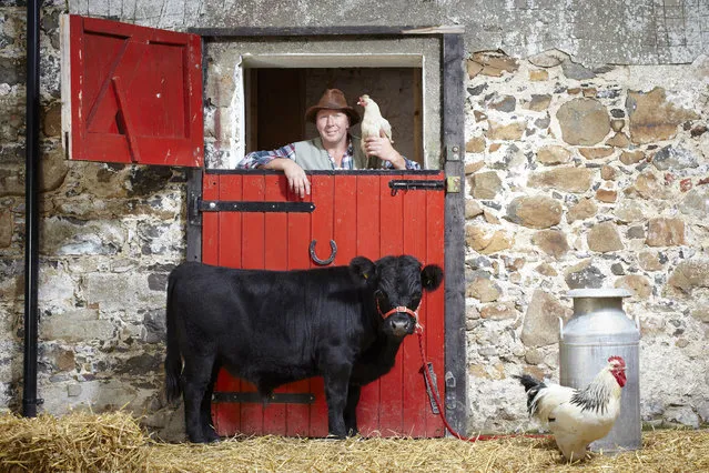 Undated handout photo issued by Guinness World Records of Archie, a 29-month-old Dexter breed bull owned by a County Armagh-based farm, which measures just 76.2 cm (30in) from hoof to withers. Issue date: Wednesday September 12, 2012. (Photo by Guinness World Records)
