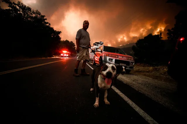 Kenny walks his two dogs Bacon and Donut after being evacuated, he believes he has lost his home, as the Lake Fire continue its progress in Lake Hughes, California, USA, 12 August 2020. According to the latest media report the fire burnt 10,000 acres. (Photo by Étienne Laurent/EPA/EFE)