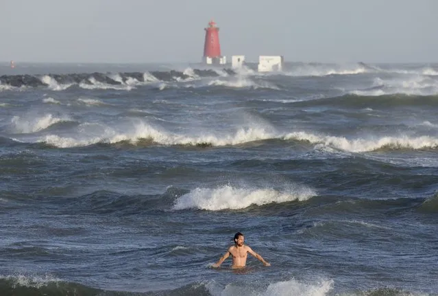 Jason McNamara from Ringsend enjoys a swim as a rising tide against an off shore wind creates white crested waves near the Great Wall and Poolbeg lighthouse in Dublin on November 2, 2022. (Photo by Alan Betson/The Irish Times)