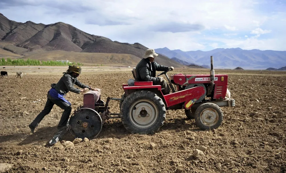 A Look at Life in China