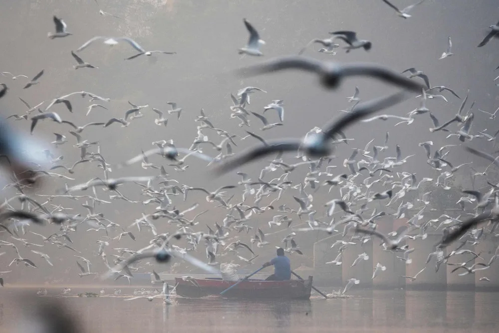 India last Week, Part 1/2