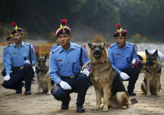 Nepalese police officers squat next to their dogs during the dog festival as part of celebrations of Tihar at Central Police Dog Training School in Kathmandu, Nepal November 10, 2015. (Photo by Navesh Chitrakar/Reuters)