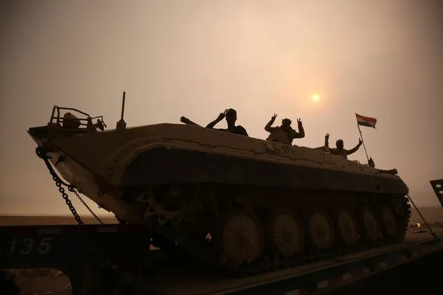 Iraqi forces flash the V-sign as they stand on an infantry fighting vehicle loaded on a truck driving through the Al-Shura area, south of Mosul, on October 24, 2016, during an operation to retake the main hub city from the Islamic State (IS) group jihadists. Iraqi forces advancing on Mosul faced stiff resistance from the Islamic State group on October 24 despite the US-led coalition unleashing an unprecedented wave of air strikes to support the week-old offensive. Federal forces and Kurdish peshmerga fighters were moving forward in several areas, AFP correspondents on various fronts said, but the jihadists were hitting back with shelling, sniper fire, suicide car bombs and booby traps. (Photo by Ahmad Al-Rubaye/AFP Photo)