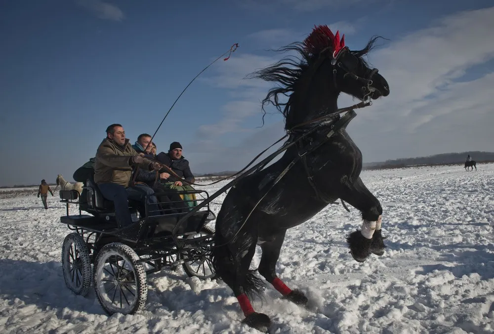 The Week in Pictures: January 3 – January 10, 2015. Part 7/7