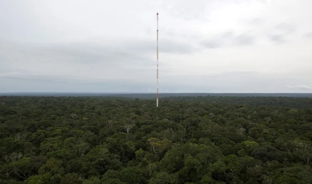 Tower of the Amazon
