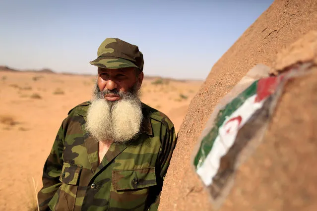 Mohamed al Wali, 65, a Polisario fighter, stands next to a Sahrawi Arab Democratic Republic flag at a forward base on the outskirts of Tifariti, Western Sahara, September 9, 2016. (Photo by Zohra Bensemra/Reuters)