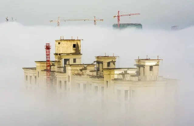 Cranes and residential buildings under construction are seen among thick fog in Anyang, Henan province, China, December 2, 2015. (Photo by Reuters/Stringer)