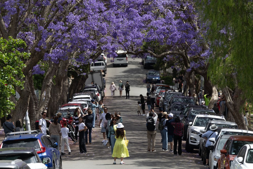 Pictures of the Year 2024, Part 207/2406