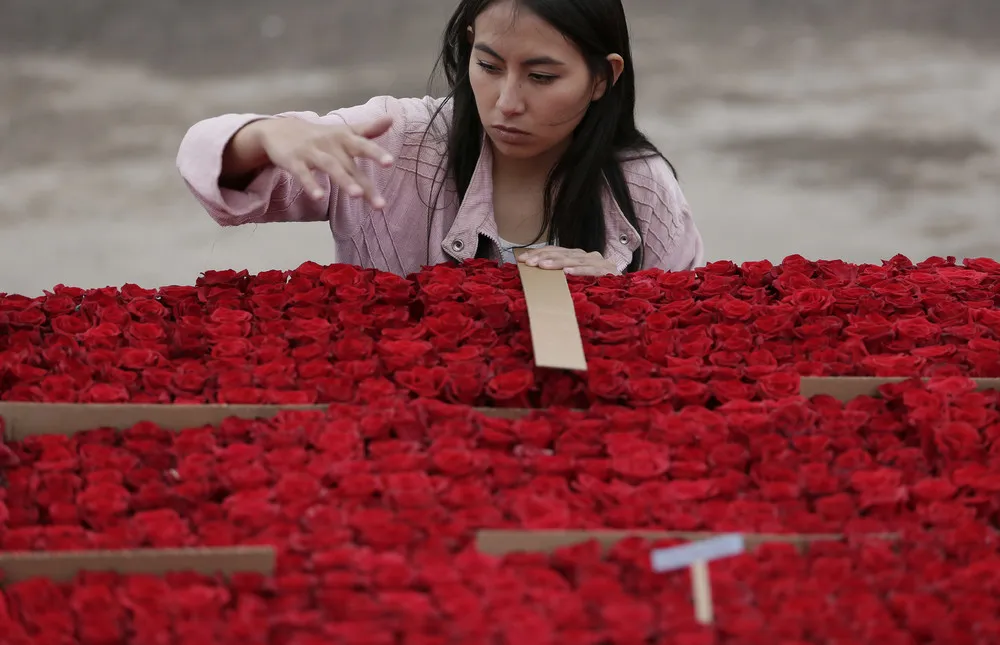 The Day in Photos – July 23, 2018