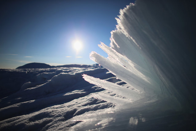 Ice crystals on the surface of the glacial ice sheet, photographed on July 17, 2013. (Photo by Joe Raedle/Getty Images via The Atlantic)