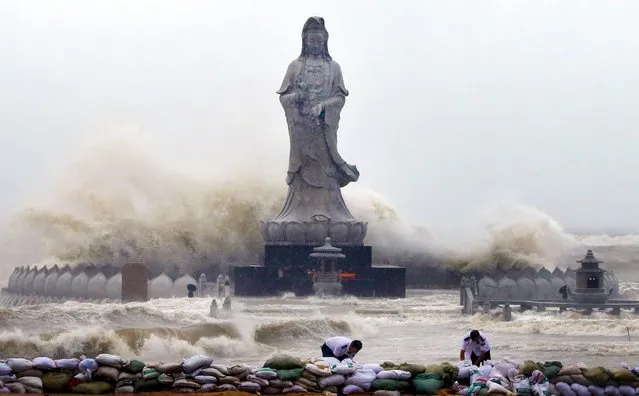 People set up sand bags to reinforce an embankment in front of an Avalokitesvara Bodhisattva statue as waves brought by Typhoon Dujuan slam the coastline in Quanzhou, Fujian province, China September 29, 2015. (Photo by Reuters/China Daily)