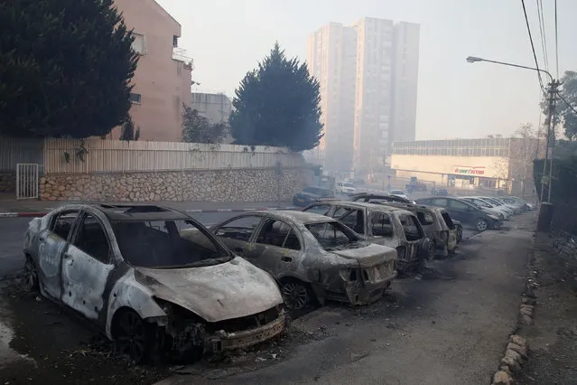 Cars burnt during a wildfire are seen in the northern city of Haifa, Israel November 24, 2016. (Photo by Baz Ratner/Reuters)