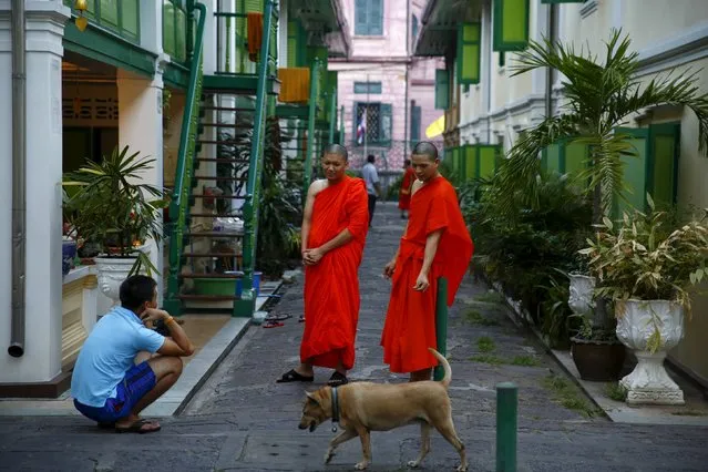 Buddhist monks chat outside their residence in a monastery in Bangkok, Thailand, January 14, 2016. Political divisions and allegations of corruption are fueling an unholy battle for the leadership of Thai Buddhism, reigniting calls for reforms of the country's dominant religion. The top nominee for the post of Supreme Patriarch is a 90-year-old abbot currently being investigated for a tax scam involving luxury cars. (Photo by Jorge Silva/Reuters)
