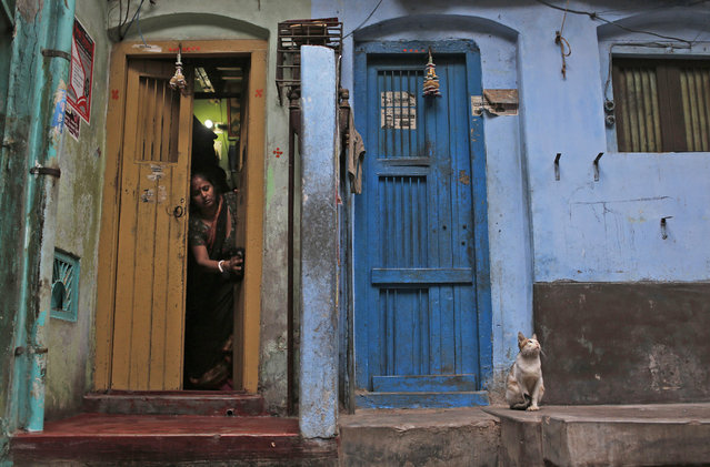 A Bangladeshi woman cleans the doorway to her home as a cat sits nearby early in the morning in Dhaka, Bangladesh, Thursday, January 21, 2016. (Photo by A.M. Ahad/AP Photo)
