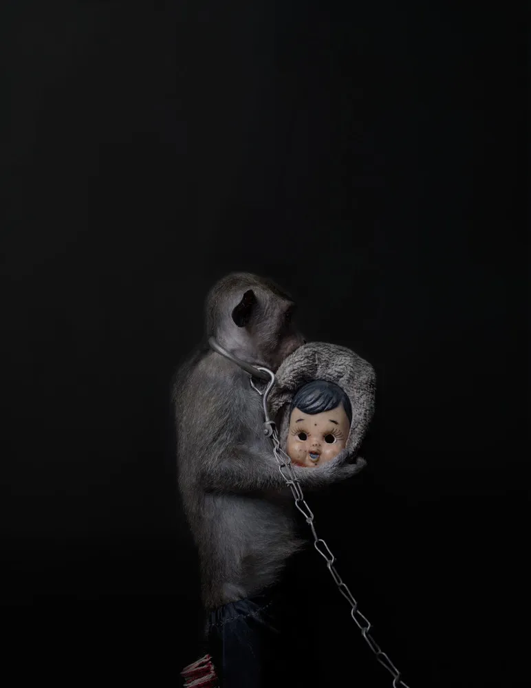 Terrifying Portraits of Indonesia’s Street-Performing Macaques