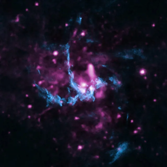 A NASA composite image, featuring both X-ray data from NASA's Chandra X-ray Observatory with radio emission from the NSF's Very Large Array (VLA) released on November 20, 2013 shows new evidence that has been uncovered for the presence of a jet of high-energy particles blasting out of the Milky Way's supermassive black hole. Astronomers have been looking for a jet from Sgr A* for years since it is now common to find jets tied to a range of cosmic objects on both big and small scales. (Photo by Reuters/NASA/CXC/UCLA/Z. Li et al; Radio: NRAO/VLA)
