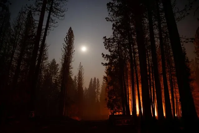 Smoke and fire are seen in Grizzly Flats, California, U.S. in the aftermath of Caldor Fire, August 17, 2021. (Photo by Fred Greaves/Reuters)