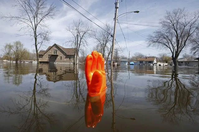 A rubber glove being used as a marker bobs in the water after flooding in Fox Lake, Illinois April 22, 2013. (Photo by Jim Young/Reuters)