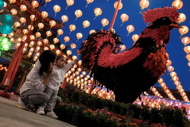 A mother and her daughter sit next to a chicken sculpture to celebrate the upcoming Lunar New Year of Rooster at a shrine on the outskirts of Bangkok, Thailand January 25, 2017. (Photo by Athit Perawongmetha/Reuters)