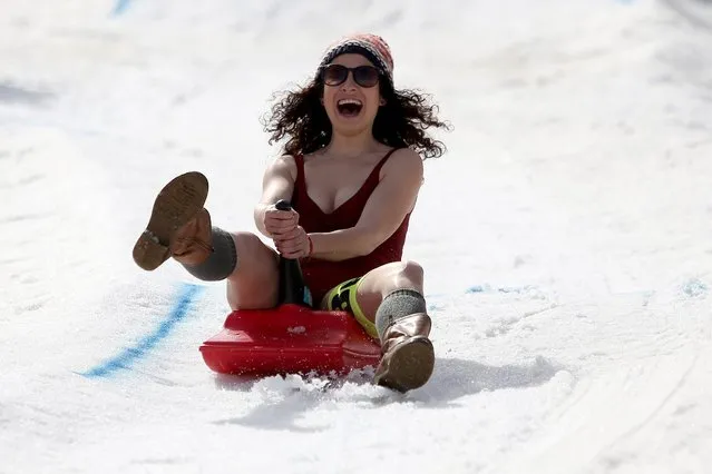 Diana Catanescu, 26, races on her zipfelbob during the Bikini Race contest held at Arena Platos Paltinis winter resort, near Sibiu city, 275 Km north from Bucharest, Romania, 06 March 2016.  Bikini Race is a timed show on the slopes, at the fourth edition, for women dressed only in swimmsuits and some winter accessories. (Photo by Mihaela Bobar/EPA)