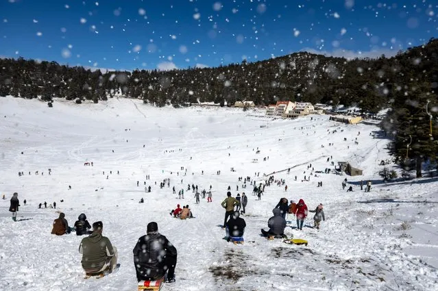 People descend down on a slope on a sled at the Michlifen ski resort, in the Atlas Mountains near the Moroccan city of Ifrane 300 kms northeast of the capital Rabat, on February 28, 2024. (Photo by Fadel Senna/AFP Photo)