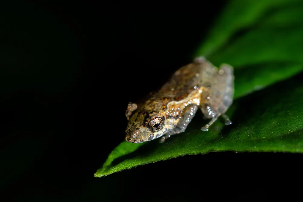 Some Photos: Animals