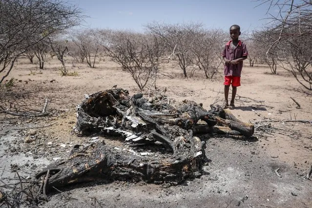 A boy stands near the rotting carcass of a camel that that died of hunger which people had burned to stop the bad smell, in Belif, Garissa county, Kenya Sunday, October 24, 2021. (Photo by Brian Inganga/AP Photo)
