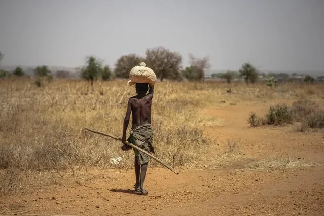 A young boy in Napak district, one of the hungriest ones in Karamoja, Uganda, February, 2017. (Photo by Sumy Sadurni/Barcroft Images)